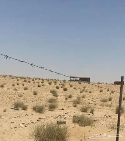 للبيع ارض زراعيه 50 الف قريبه من الجبيل 4