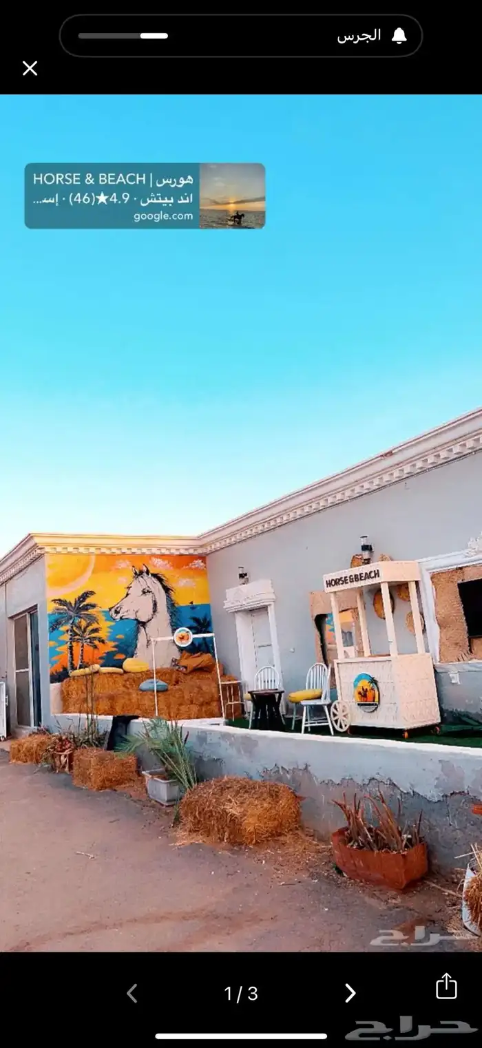 يوجد لدينا إيواء خيل اقرب اسطبل عالبحر منطقة ذهبان 3