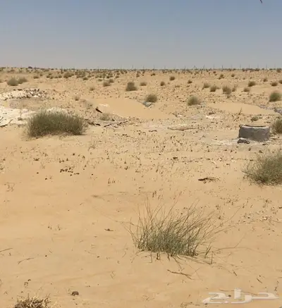 للبيع ارض زراعيه 50 الف قريبه من الجبيل 1