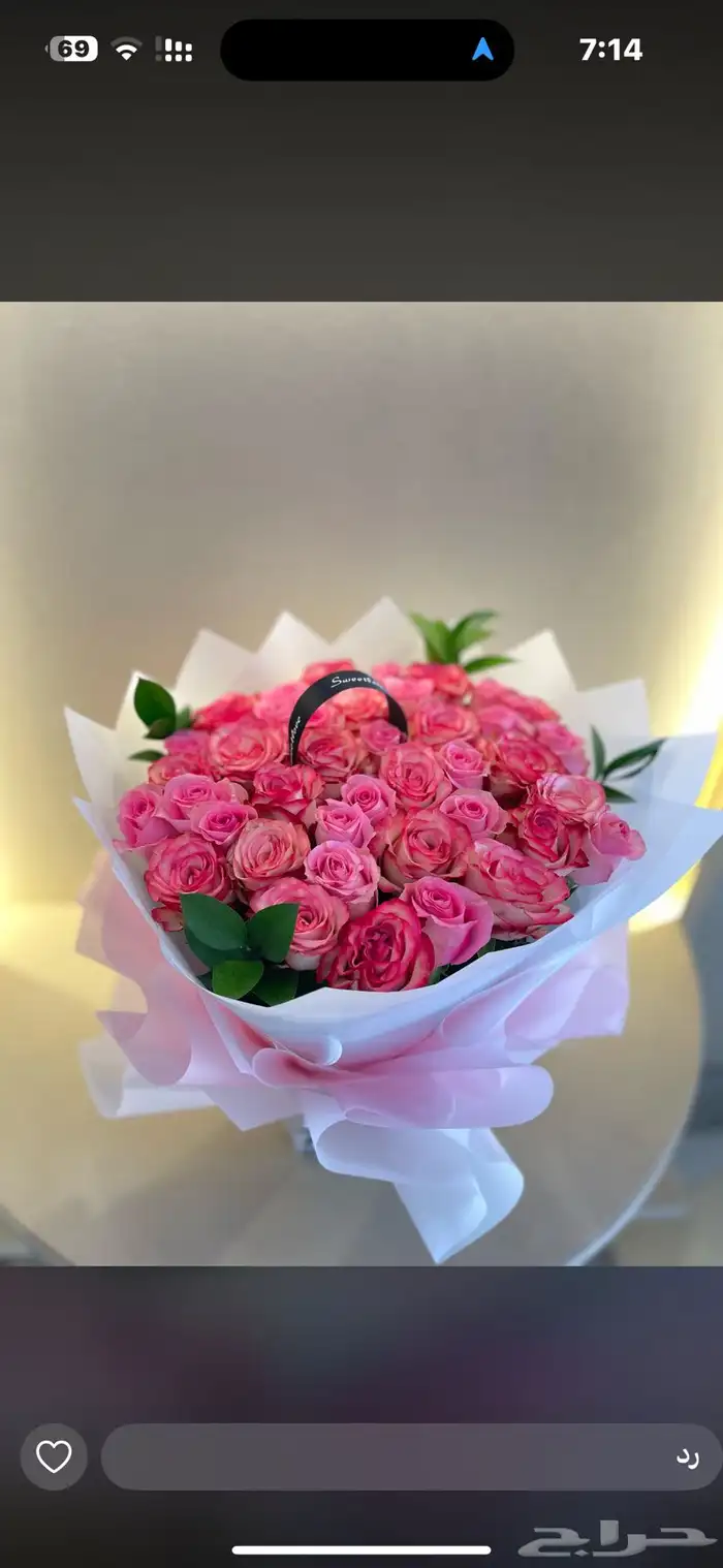 أزهار الاحساء 15