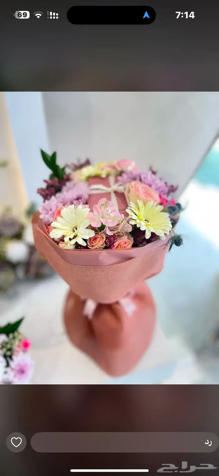 أزهار الاحساء 16