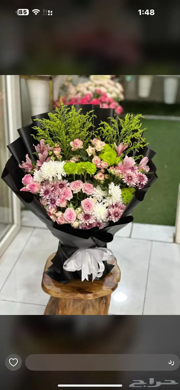 أزهار الاحساء 10