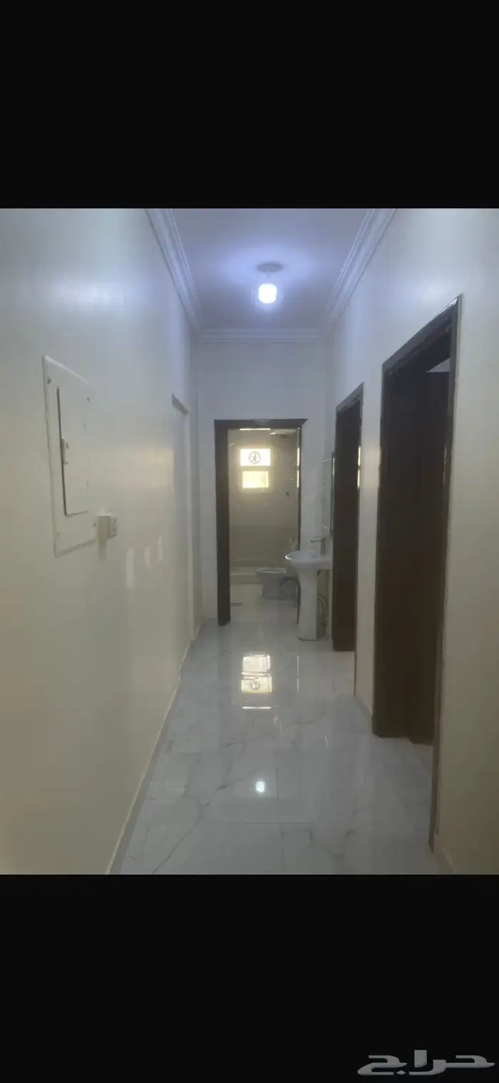 شقه لإيجار حي الملك فيصل 0