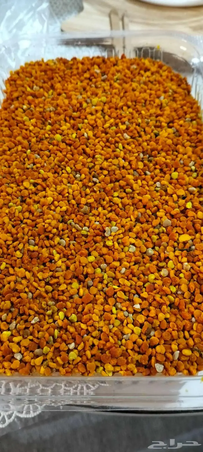 حبوب لقاح طازج جبلية و الثانية غابات وسهول 3