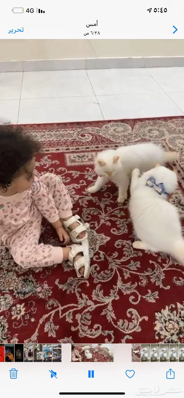 بستين لتبني 4