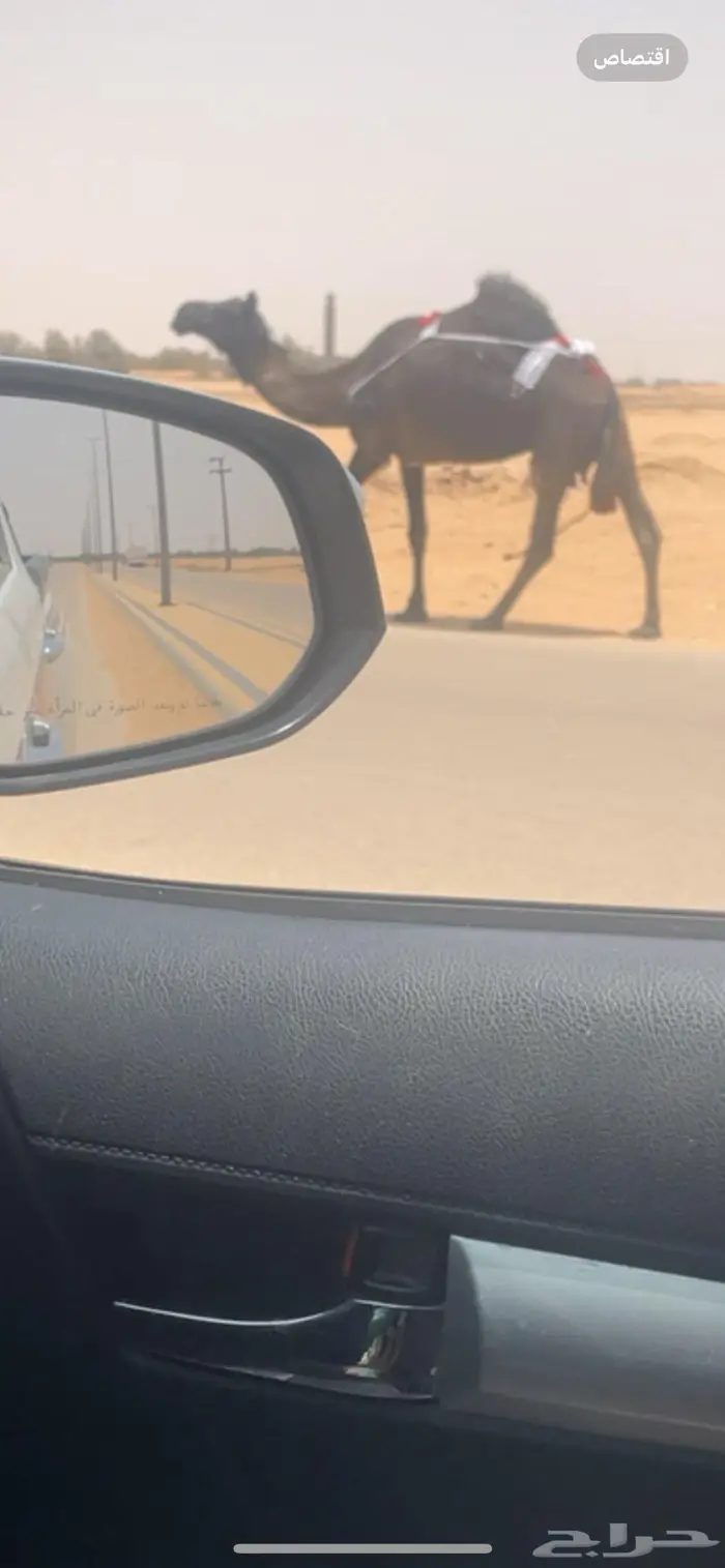 في وادي الدواسر 2