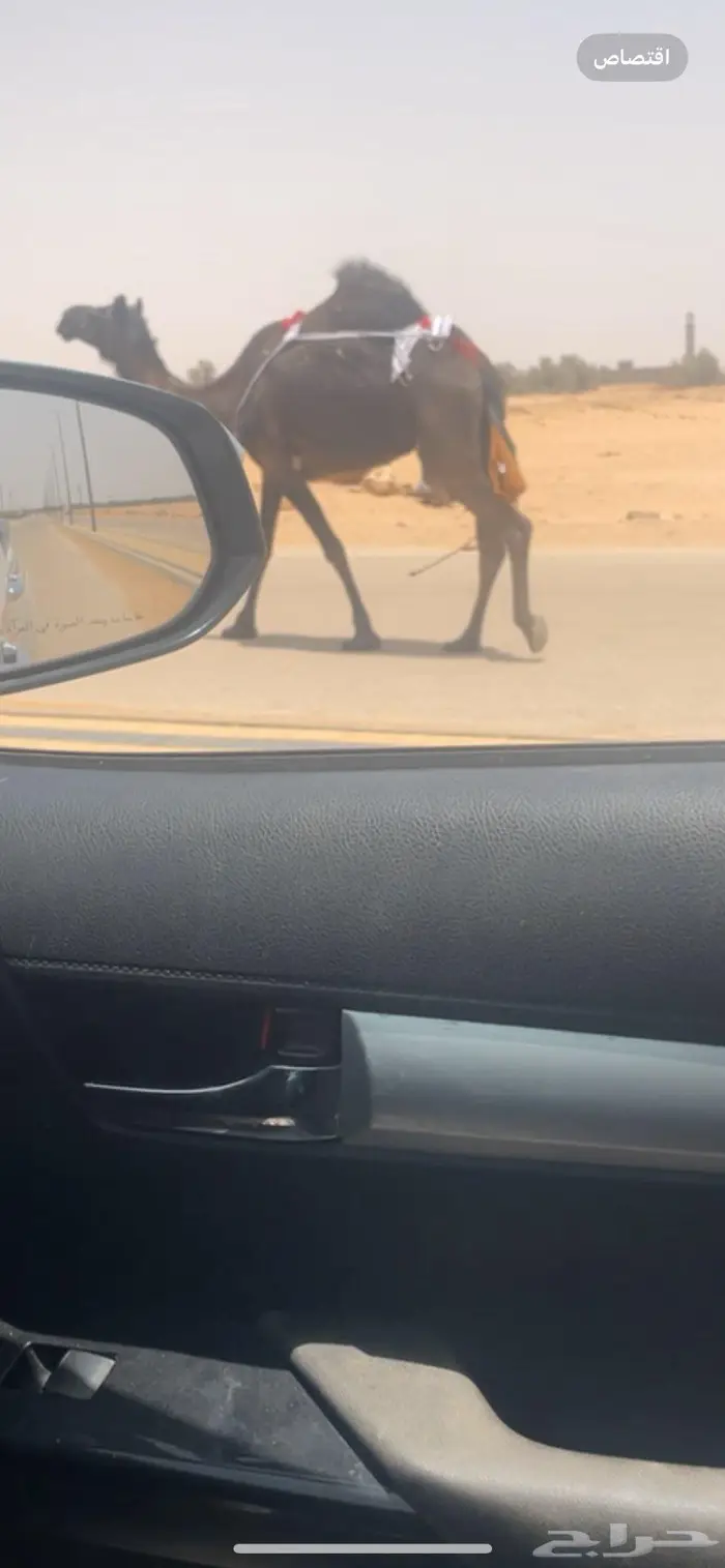 في وادي الدواسر 1
