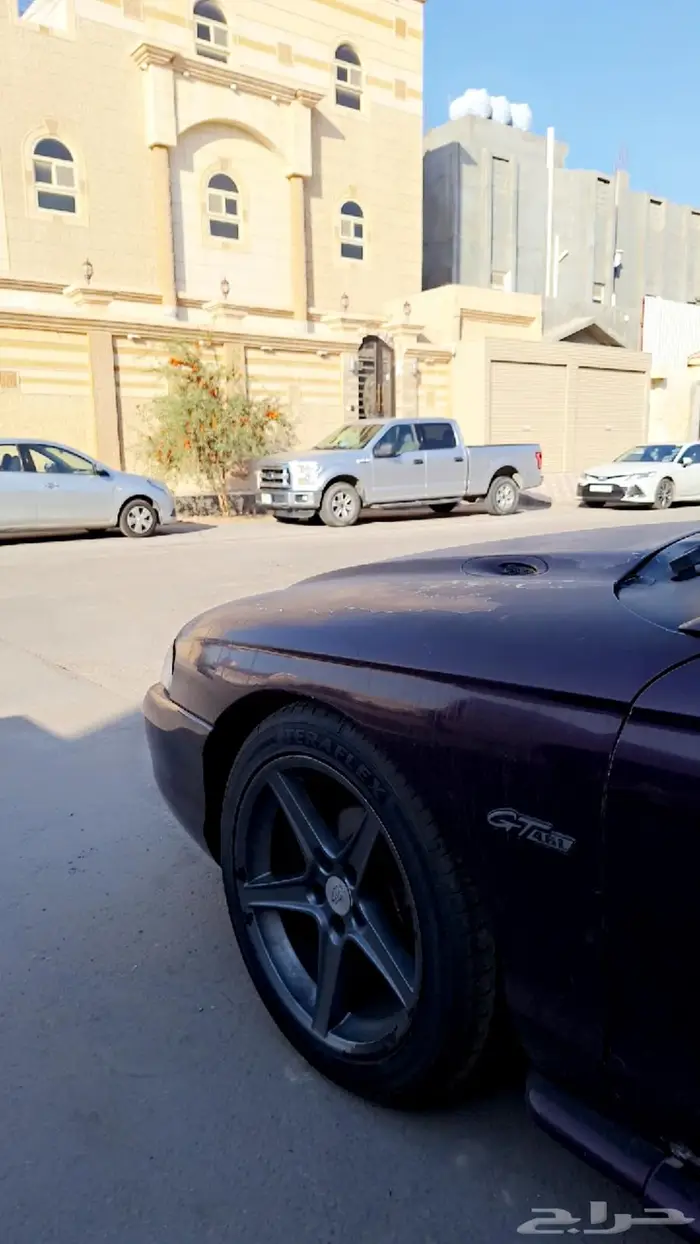 جنوط موستنج سالين 97 (مباع) 4