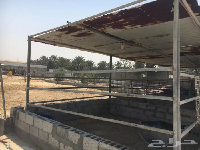 بايكات خيل تركيب 0