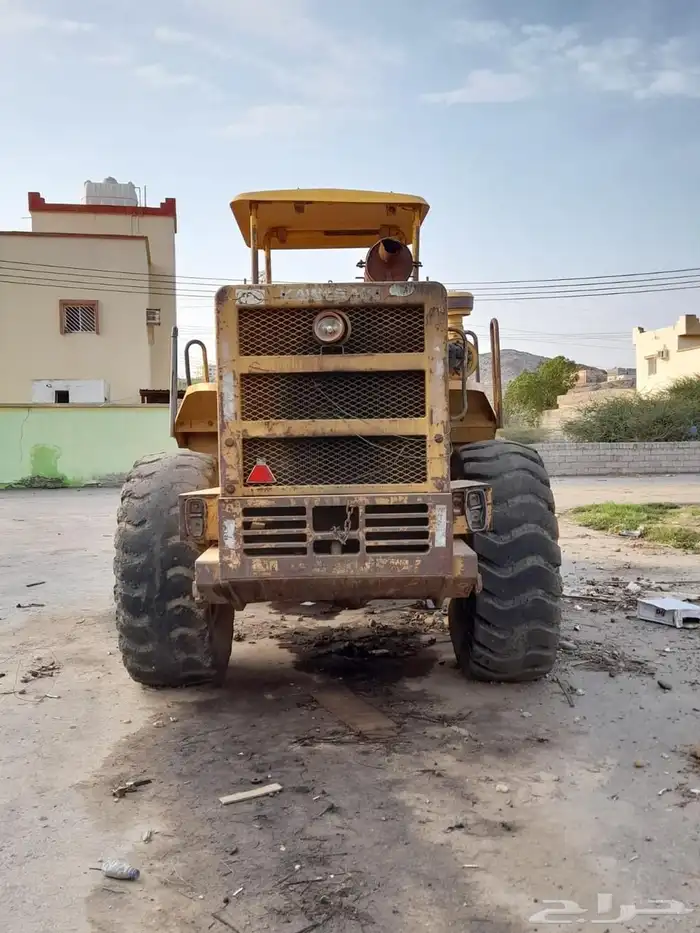 شيول كواسكي 1