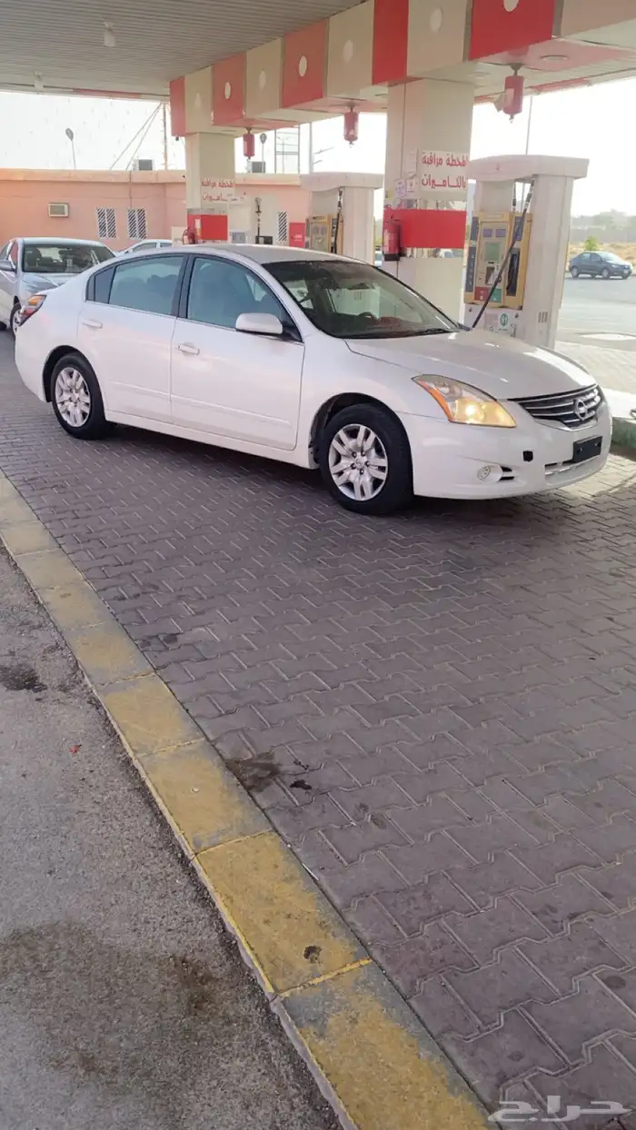 التيما 2010 1