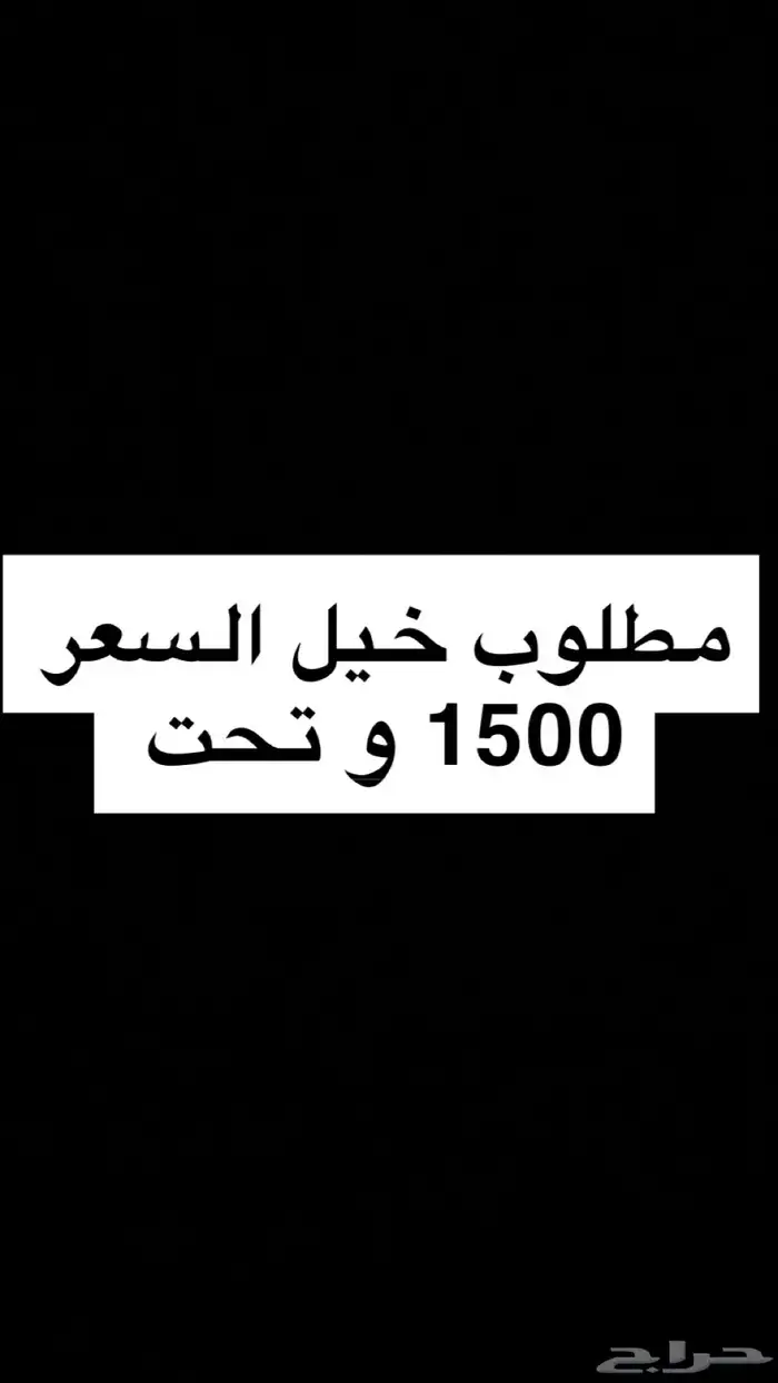مطلوب خيل 0