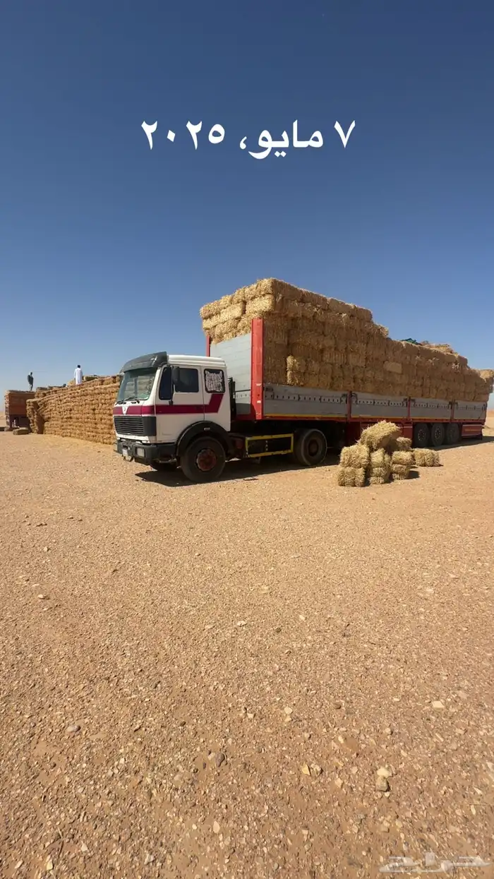 تبن قمح شد طيب حويل الدفع عند الوصول 5