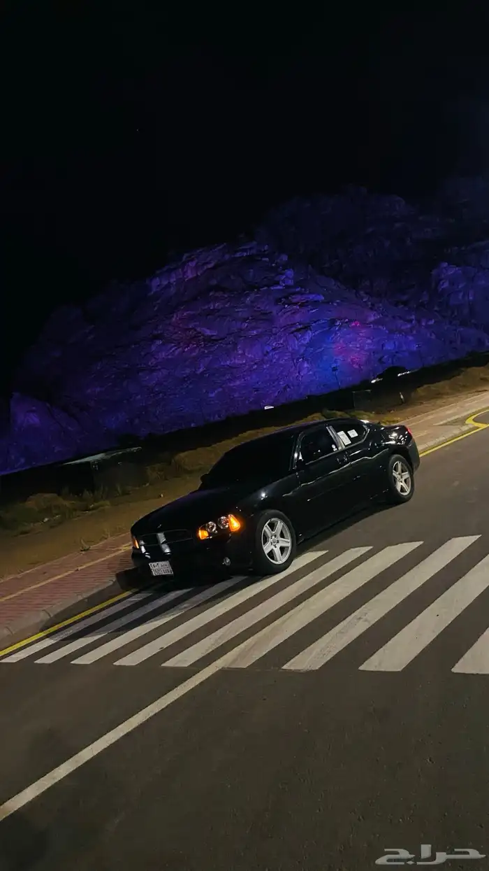 تشارجر SXT 2010 25