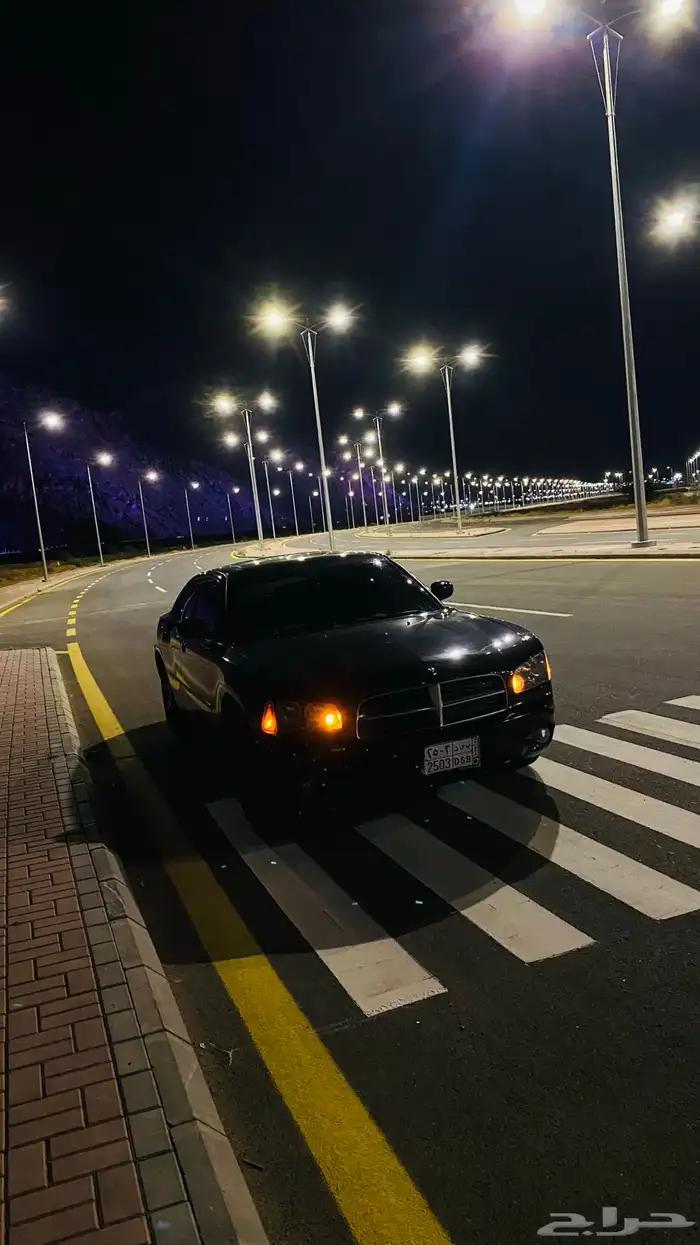 تشارجر SXT 2010 26