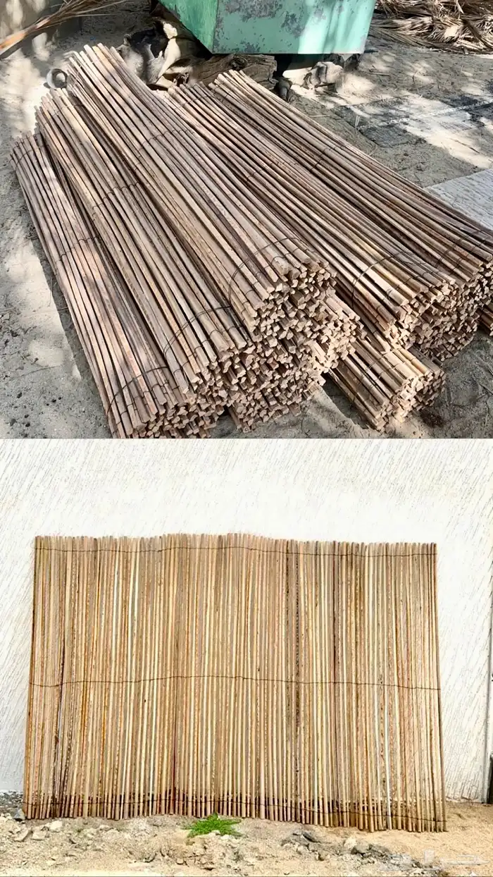 جريد سعف 2