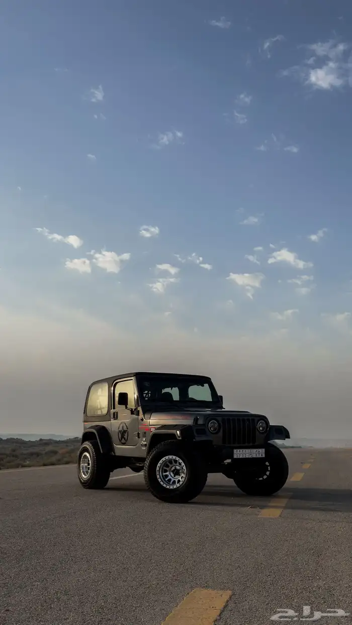 جيب رانجلر 1998 LS 10