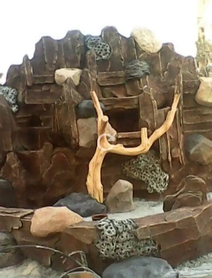 منسق حدائق 55