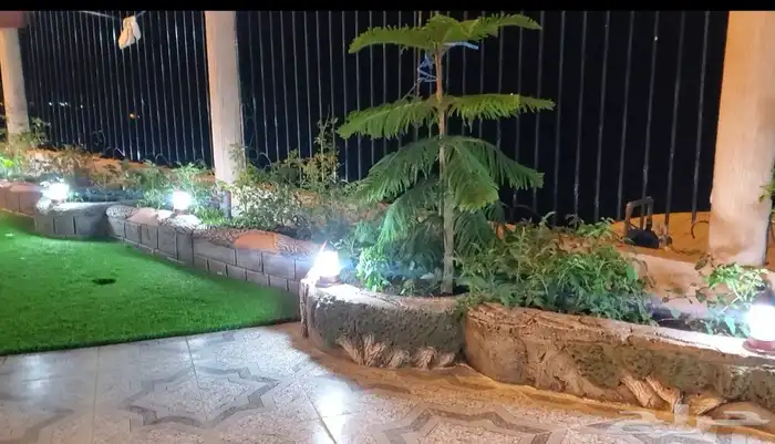 منسق حدائق 83