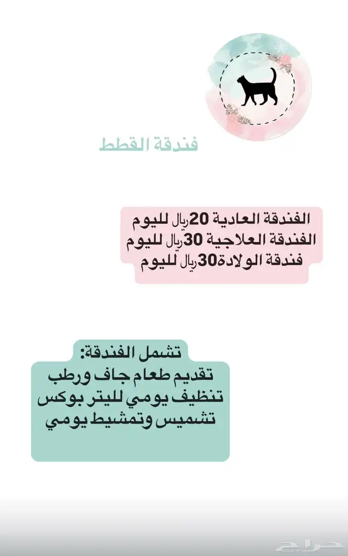 خدمات قطط وفندقة 1