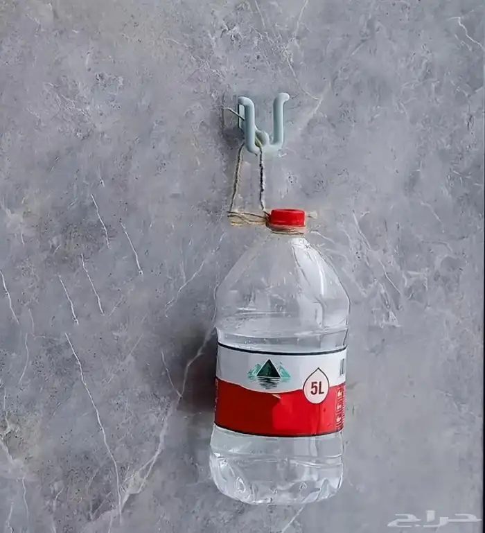 اكسسوارات الاناقة و الرومانسية https salla.sa firstcap 59