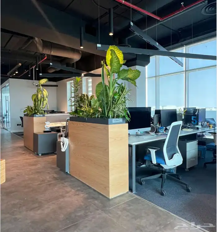 مصنع لوف للصناعات الخشبية 4