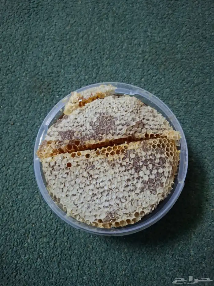 شمع سمره جديد 0