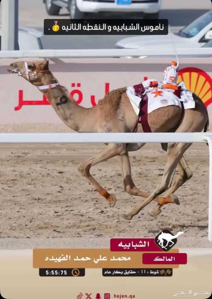 حقه بنت رزام 2
