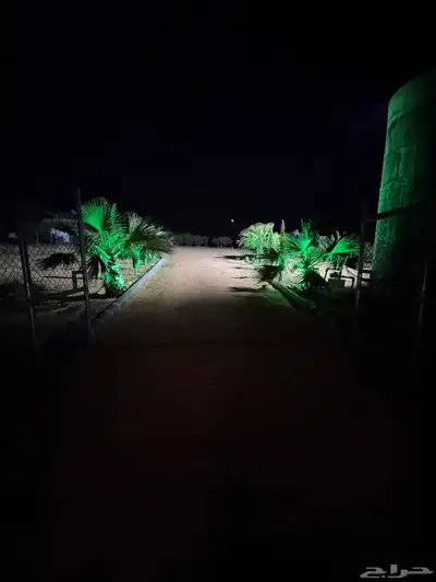 للبيع بالجلف 22
