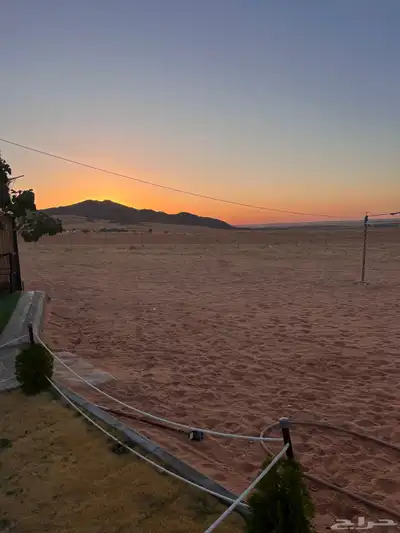 للبيع بالجلف 26