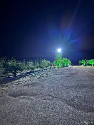 للبيع بالجلف 18