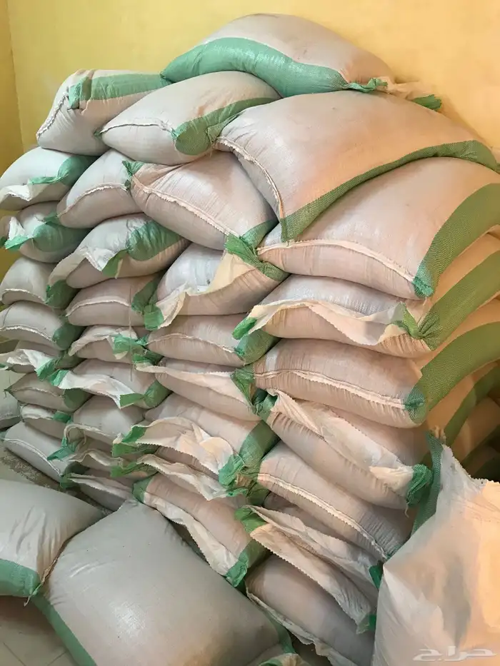 بذر قمح بر معية بلدي 3