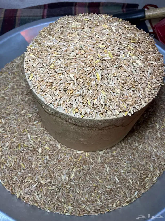 بر تنومة قياضي وعضوي على الشرط 6