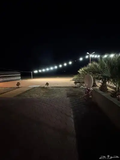 للبيع بالجلف 7