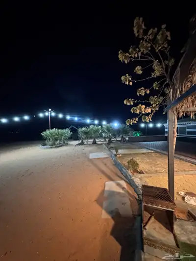 للبيع بالجلف 16