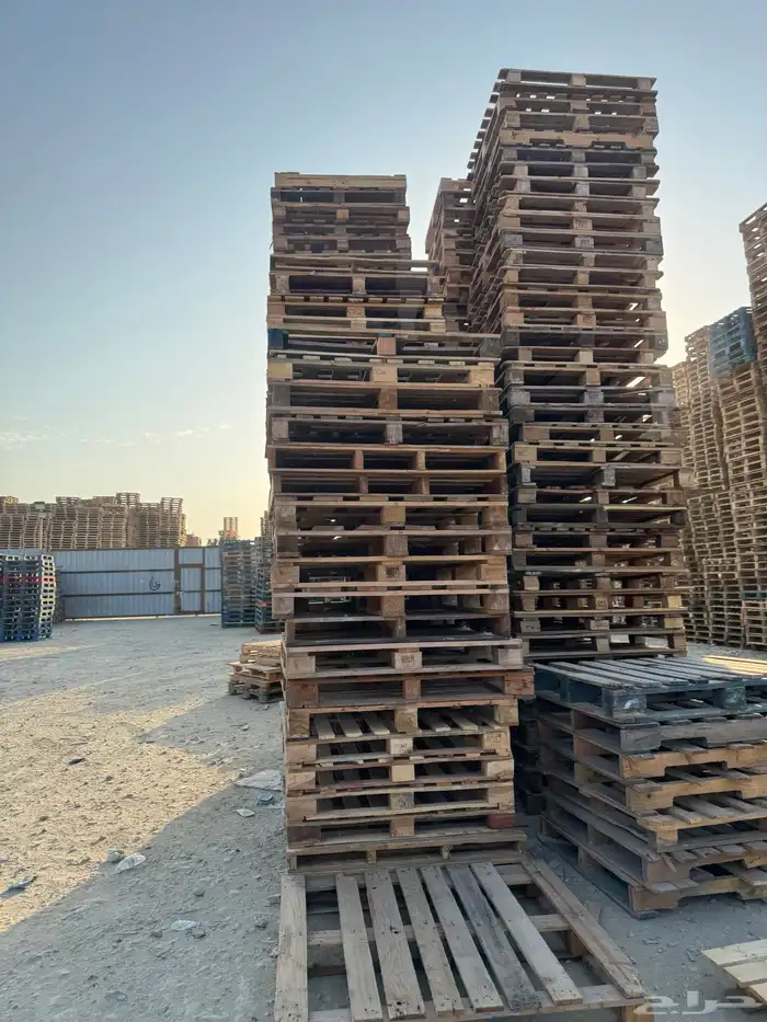 طبالي 29