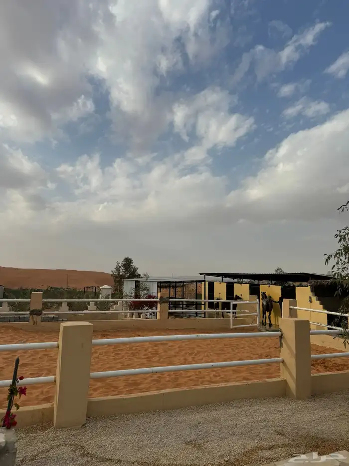مربط الزبارة ايواء وعسف 1