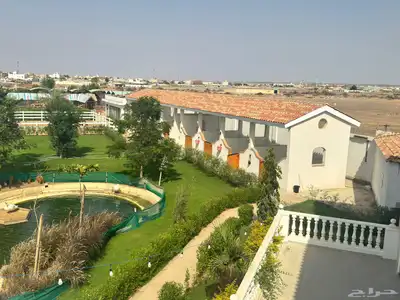 إيواء خيل - وتدريب خيل ارضي  وقفز -وعسف خيل 4