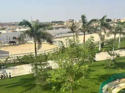 إيواء خيل - وتدريب خيل ارضي  وقفز -وعسف خيل 1