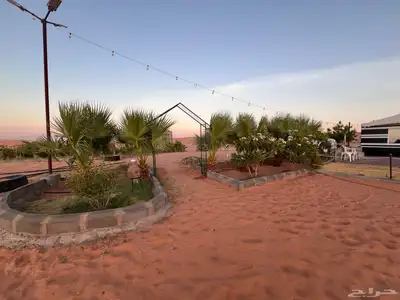 للبيع بالجلف 31