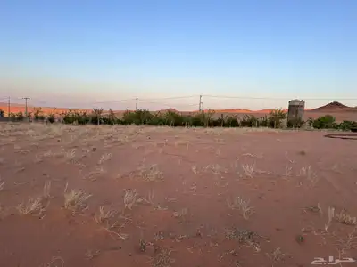 للبيع بالجلف 35