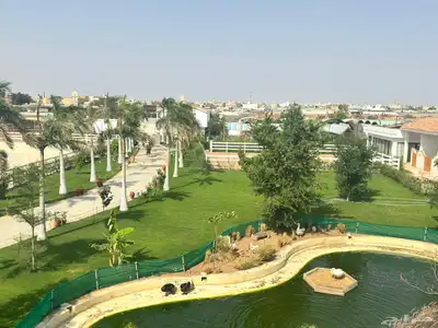 إيواء خيل - وتدريب خيل ارضي  وقفز -وعسف خيل 0
