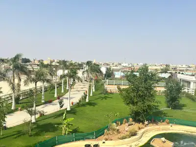 إيواء خيل - وتدريب خيل ارضي  وقفز -وعسف خيل 2
