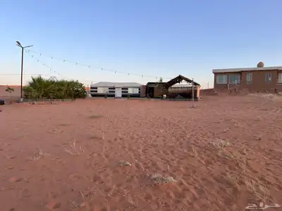 للبيع بالجلف 36