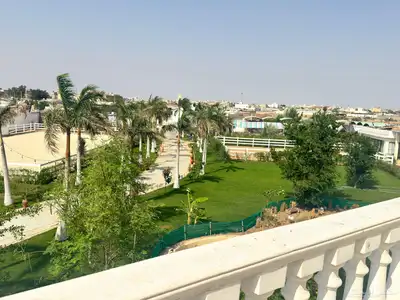 إيواء خيل - وتدريب خيل ارضي  وقفز -وعسف خيل 3