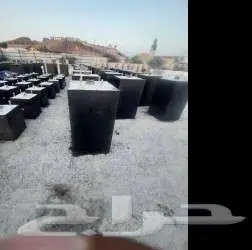 قواعد اعمده 8