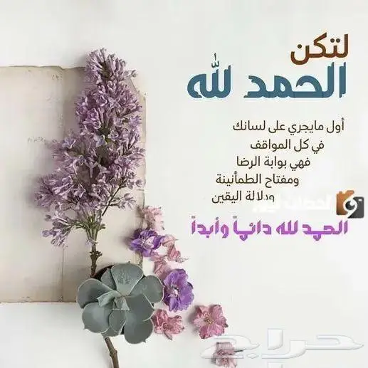 جديد عقد وخاتم فضة اصلي فاخر عقد واحد فقط مستعمل 46