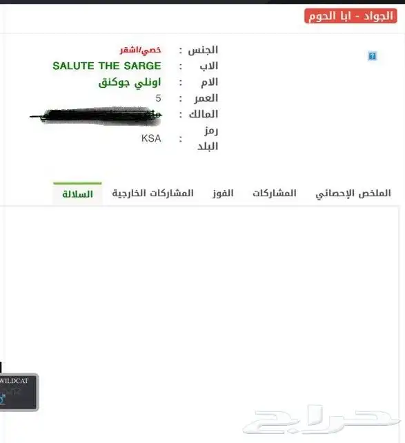 حصان 2