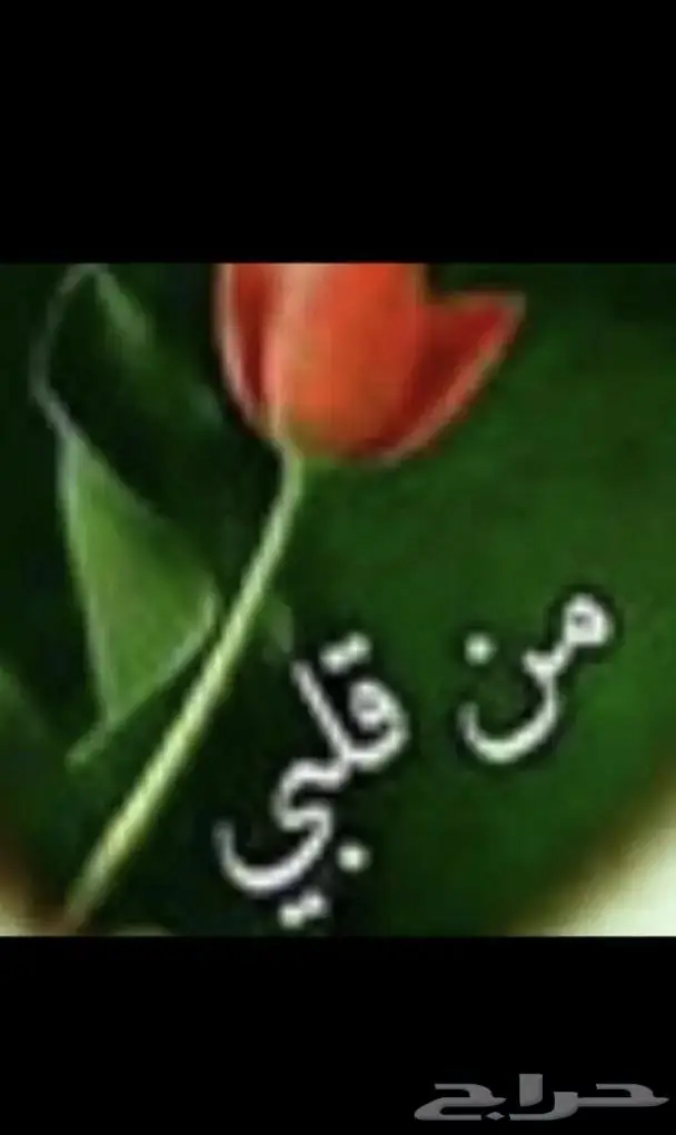 جديد فضةطقم كامل عقد واسوارة وخاتم وحلق فضة اصلي 7