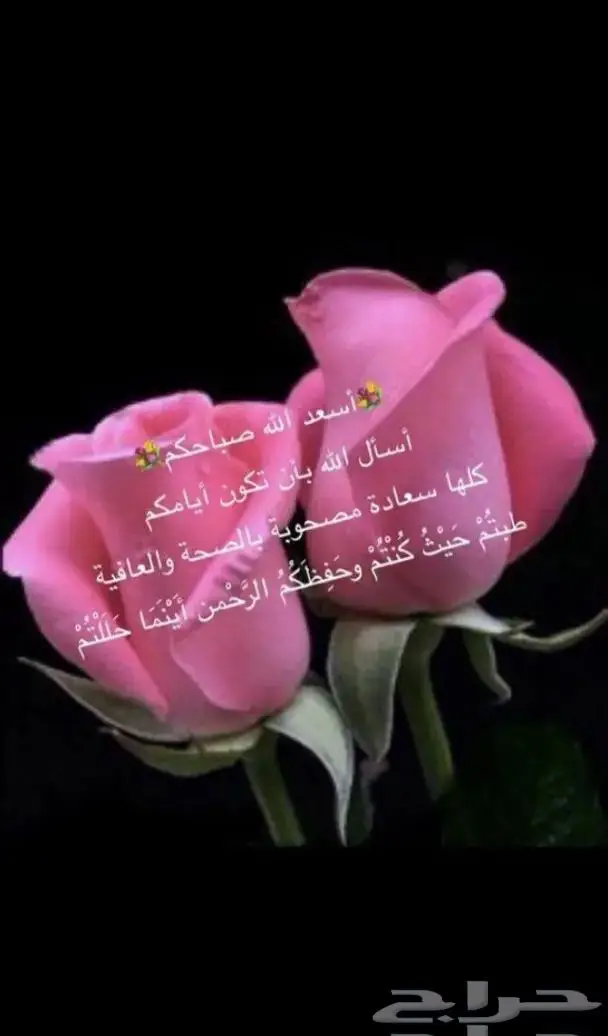 جديد فضةطقم كامل عقد واسوارة وخاتم وحلق فضة اصلي 19